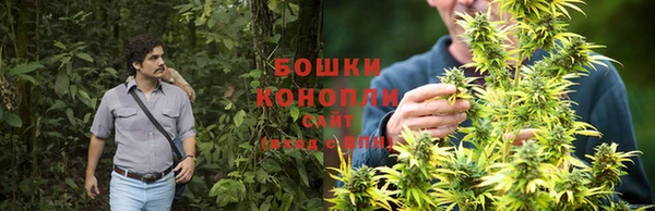 хмурый Майский