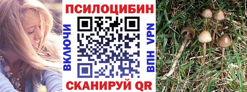 Купить  Белокуриха  Галлюциногенные грибы прущие грибы 